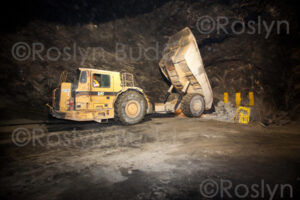 ©Roslyn Budd - www.outbackphotographics.com.au