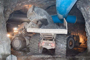 ©Roslyn Budd - www.buddphotography.com.au