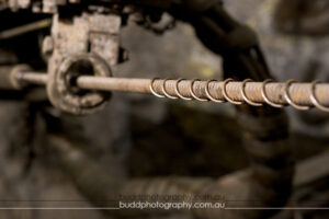 ©Roslyn Budd - www.buddphotography.com.au