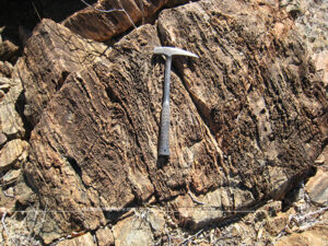 ©Roslyn Budd - www.buddphotography.com.au