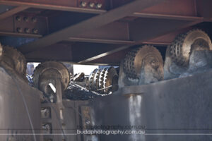 ©Roslyn Budd - www.buddphotography.com.au