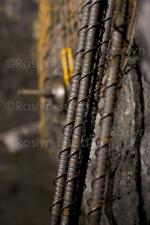 ©Roslyn Budd - www.outbackphotographics.com.au