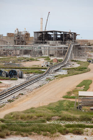 ©Roslyn Budd - www.buddphotography.com.au