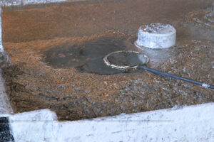 ©Roslyn Budd - www.buddphotography.com.au