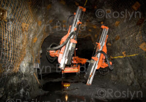 ©Roslyn Budd - www.outbackphotographics.com.au