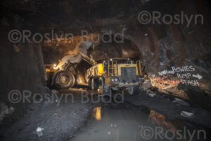 ©Roslyn Budd - www.outbackphotographics.com.au