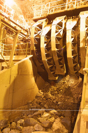 ©Roslyn Budd - www.buddphotography.com.au