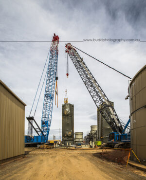 ©Roslyn Budd - www.buddphotography.com.au