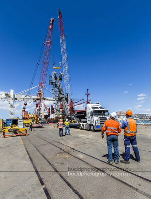 ©Roslyn Budd - www.buddphotography.com.au