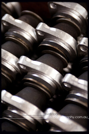 ©Roslyn Budd - www.buddphotography.com.au