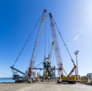 ©Roslyn Budd - www.buddphotography.com.au