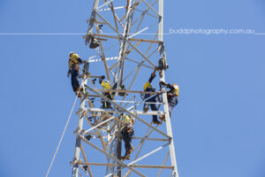 ©Roslyn Budd - www.buddphotography.com.au