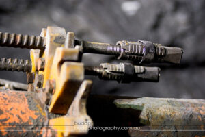 ©Roslyn Budd - www.buddphotography.com.au