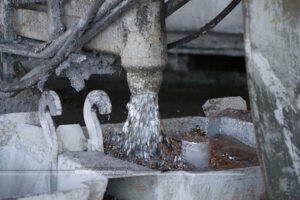 ©Roslyn Budd - www.buddphotography.com.au