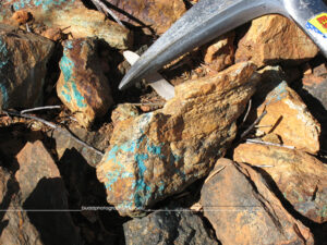 ©Roslyn Budd - www.buddphotography.com.au