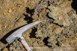 ©Roslyn Budd - www.buddphotography.com.au