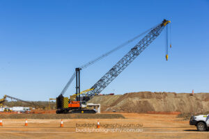 ©Roslyn Budd - www.buddphotography.com.au