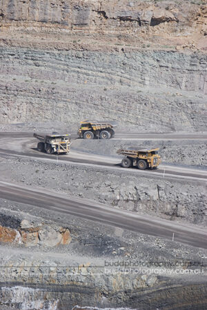 ©Roslyn Budd - www.buddphotography.com.au