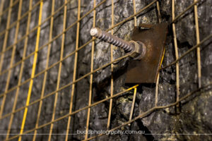 ©Roslyn Budd - www.buddphotography.com.au