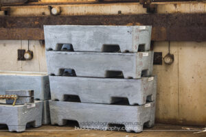 ©Roslyn Budd - www.buddphotography.com.au