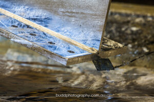 ©Roslyn Budd - www.buddphotography.com.au