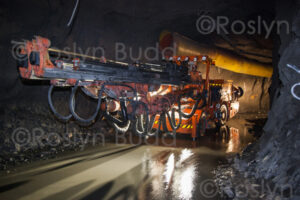 ©Roslyn Budd - www.outbackphotographics.com.au