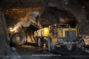 ©Roslyn Budd - www.buddphotography.com.au